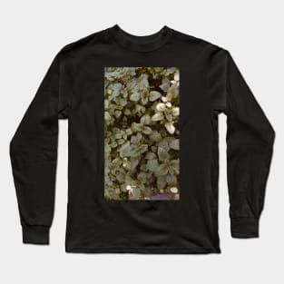 Melissa Officinalis Green Leaves Long Sleeve T-Shirt